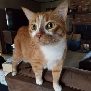 Meet your Posher, Kelley